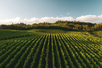 Agriculture